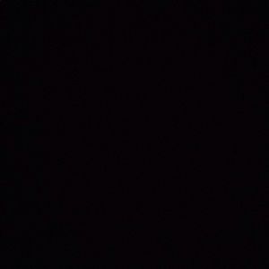 Meet your Posher, Lillian